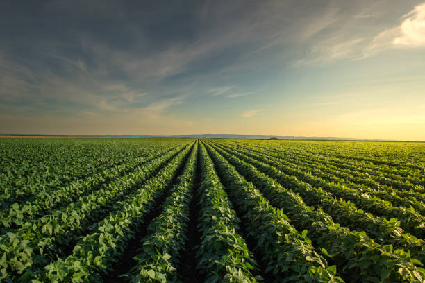 Agri Products