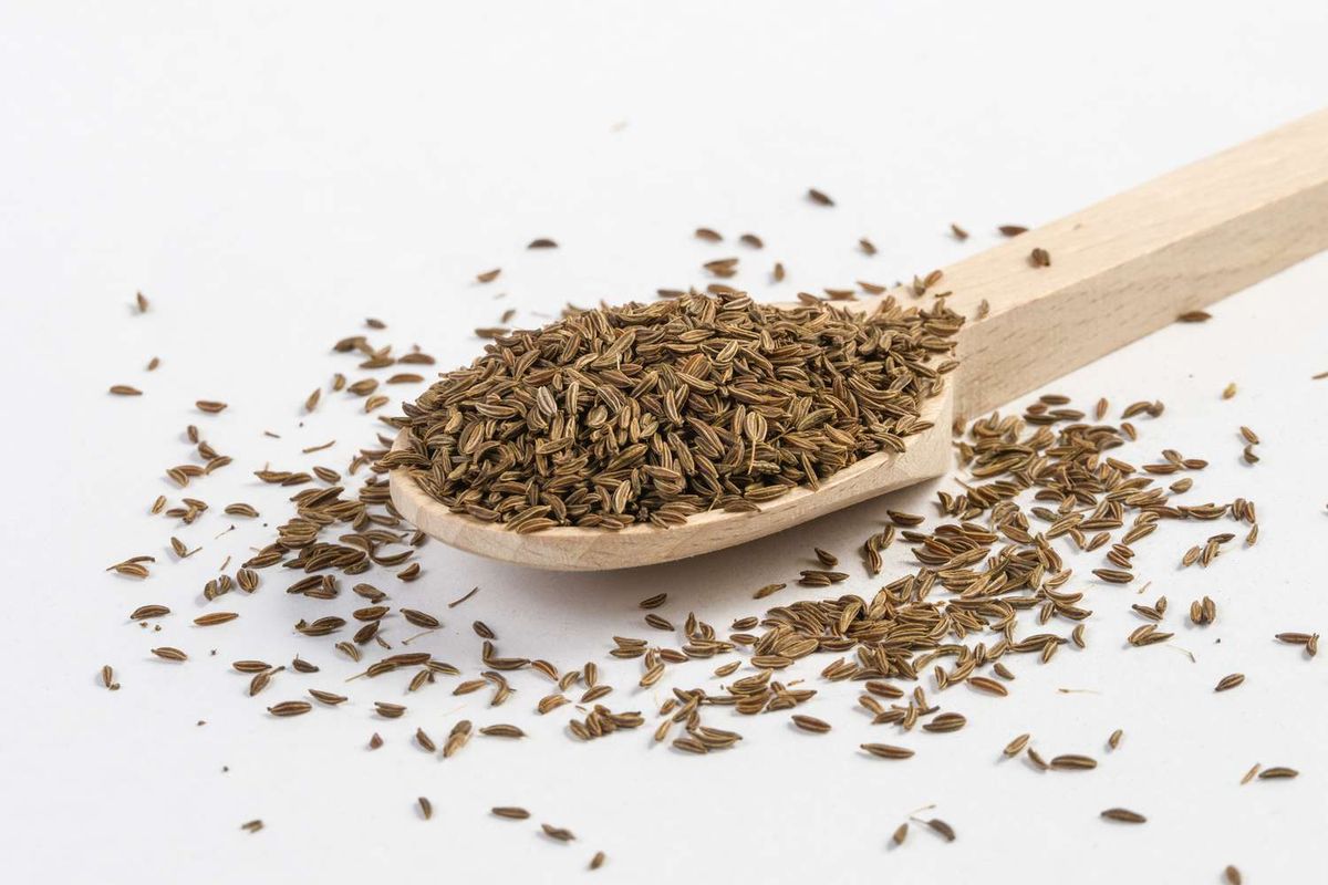 Caraway